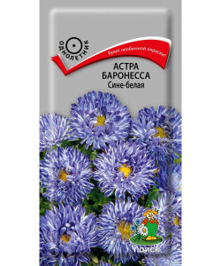 Астра Баронесса Сине-белая