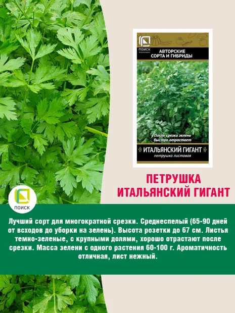 Петрушка листовая Итальянский гигант  семена 