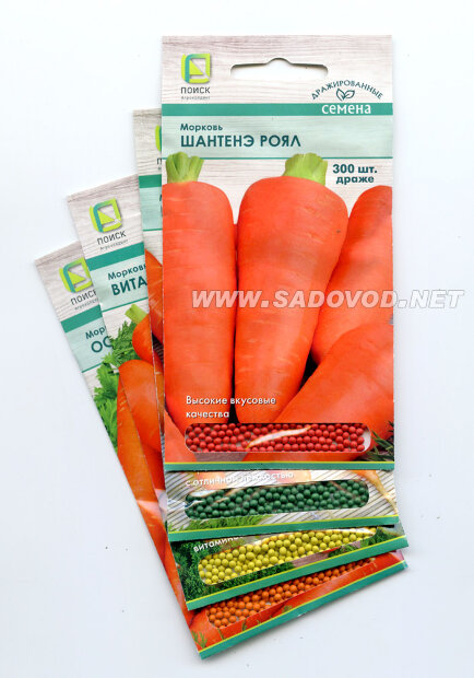 Морковь драже Королева осени семена 
