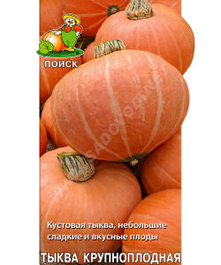 Тыква Амазонка (простые пакеты) Тыква Амазонка (простые пакеты)