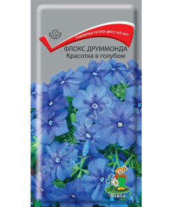 Флокс Красотка в голубом (друммонда) Флокс Красотка в голубом (друммонда)