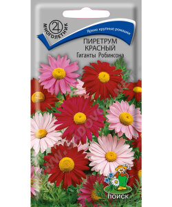 Пиретрум Гиганты Робинсона