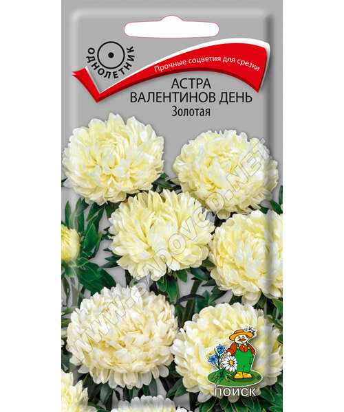 Астра Валентинов день Золотая
