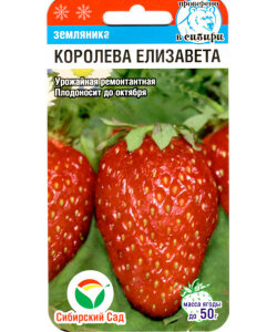Клубника Королева Елизавета (ремонтантная)
