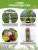 Туя Даника (западная)