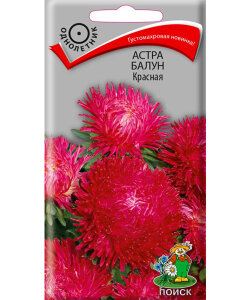 Астра Балун Красная