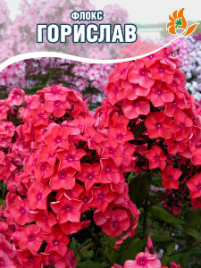 Флокс Горислав Флокс Горислав