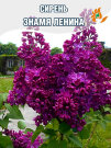 Сирень Знамя Ленина (обыкновенная) Сирень Знамя Ленина (обыкновенная)