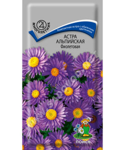 Астра Альпийская. Фиолетовая