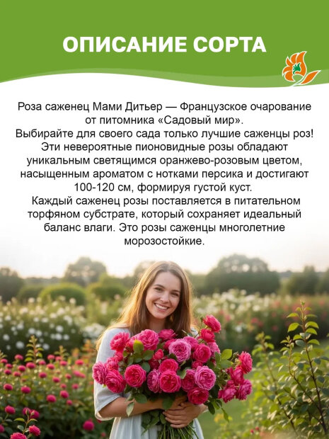 Роза Мами Дитьер