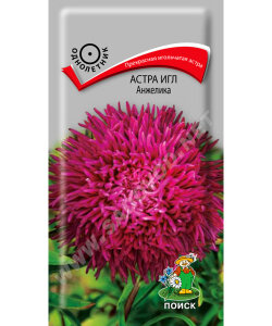 Астра Игл Анжелика