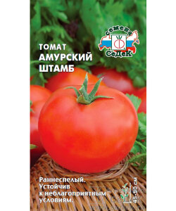 Томат Амурский штамб