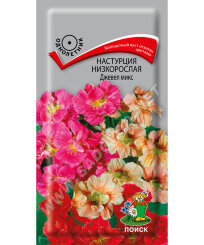 Настурция Джевел Микс (низкорослая)
