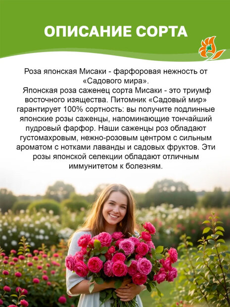 Роза Мисаки (Принцесса Мисаки)