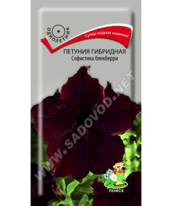 Петуния гибридная Софистика Блэкберри