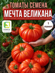 Томат Мечта Великана Томат Мечта Великана