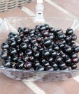 Смородина Севчанка (чёрная)
