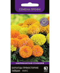 Бархатцы прямостоячие Тайшан Микс (ПРОФИ)
