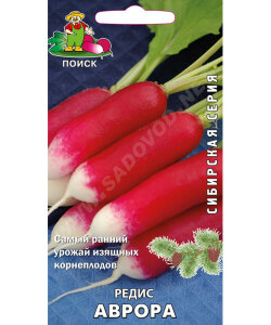 Редис Аврора