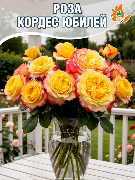 Роза Кордес Джубили