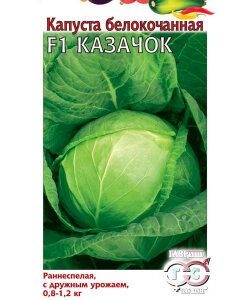 Капуста белокочанная Казачок F1
