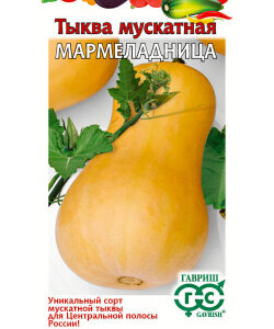 Тыква Мармеладница мускатная Тыква Мармеладница мускатная