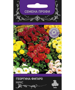Георгина Фигаро Микс (Профи)