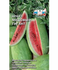 Арбуз Медовый гигант