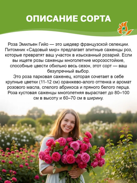 Роза Эмильен Гийо 